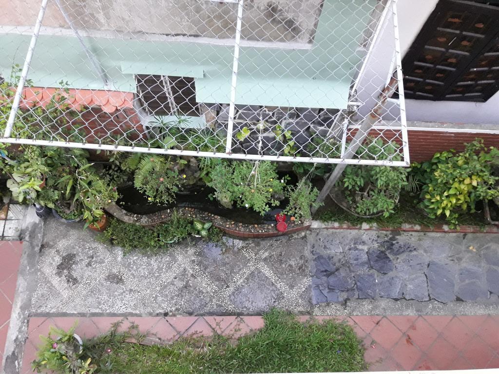 Red Ceramics Homestay Хой Ан Екстериор снимка